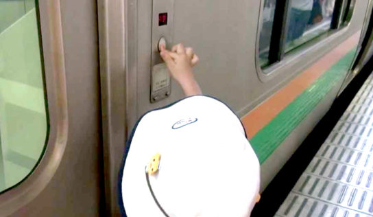 Como funcionan las puertas de apertura con pulsador