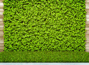 Jardines verticales artificiales: rodéate de verde