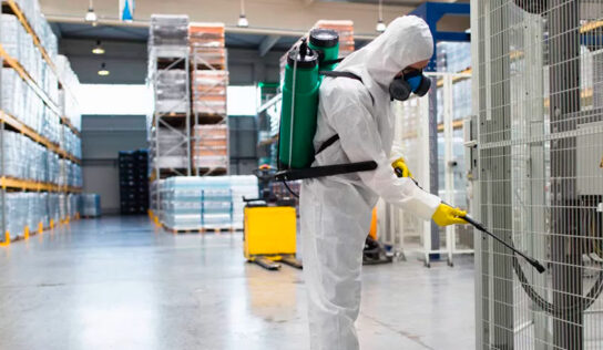 Protección contra plagas: qué es y por qué es importante