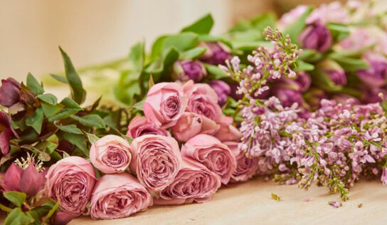 Flores preservadas, belleza eterna para todas las ocasiones