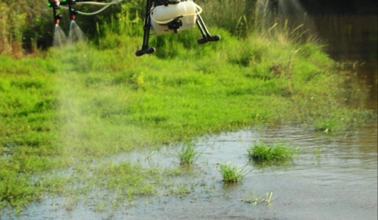 Es tiempo de activar los programas de control vectorial anticipados para la prevención y el control de mosquitos por parte de las administraciones
