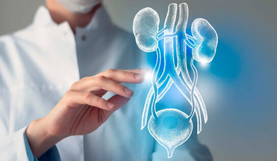 Opciones de tratamiento para la incontinencia urinaria: una mirada médica actual