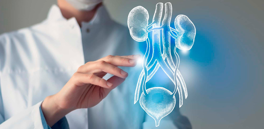 Opciones de tratamiento para la incontinencia urinaria: una mirada médica actual