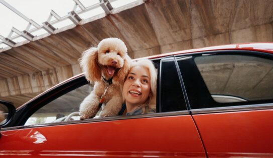 Mapfre lanza ReDrive, un nuevo servicio para operaciones de compraventa de vehículos entre particulares