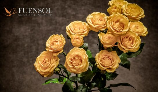 Fuensol conmemora dos décadas de trayectoria en el sector funerario con el lanzamiento de nuevos planes de planificación anticipada y renovación digital