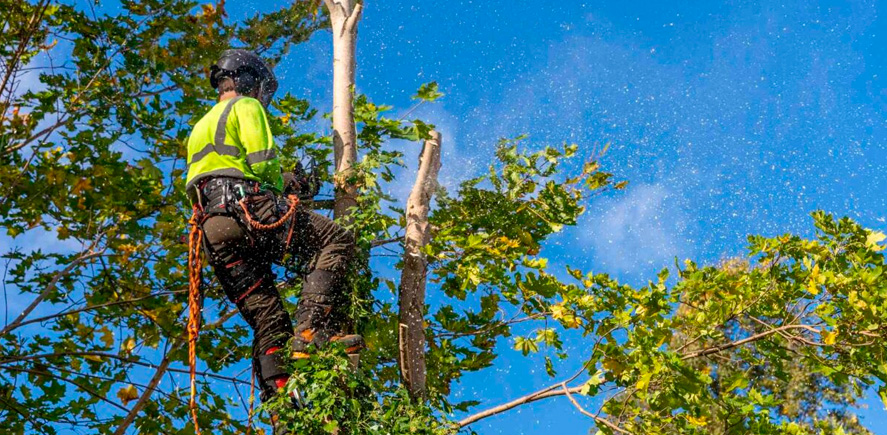 Factores que determinan la necesidad de permisos