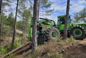 Grup Boix destaca la gestión forestal como medida clave contra los grandes incendios