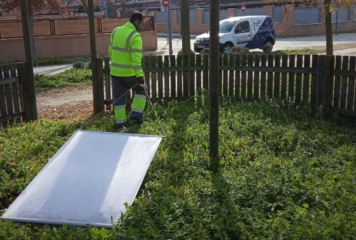 Rentokil detecta un aumento de garrapatas este verano: el calor dispara su presencia en parques, jardines y hogares