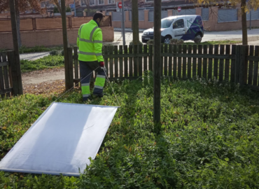 Rentokil detecta un aumento de garrapatas este verano: el calor dispara su presencia en parques, jardines y hogares